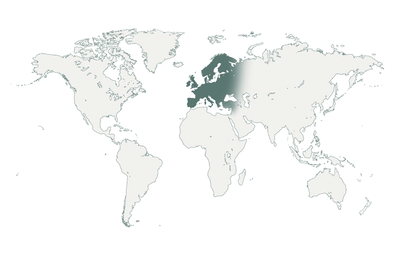 Old World: Palaearctic