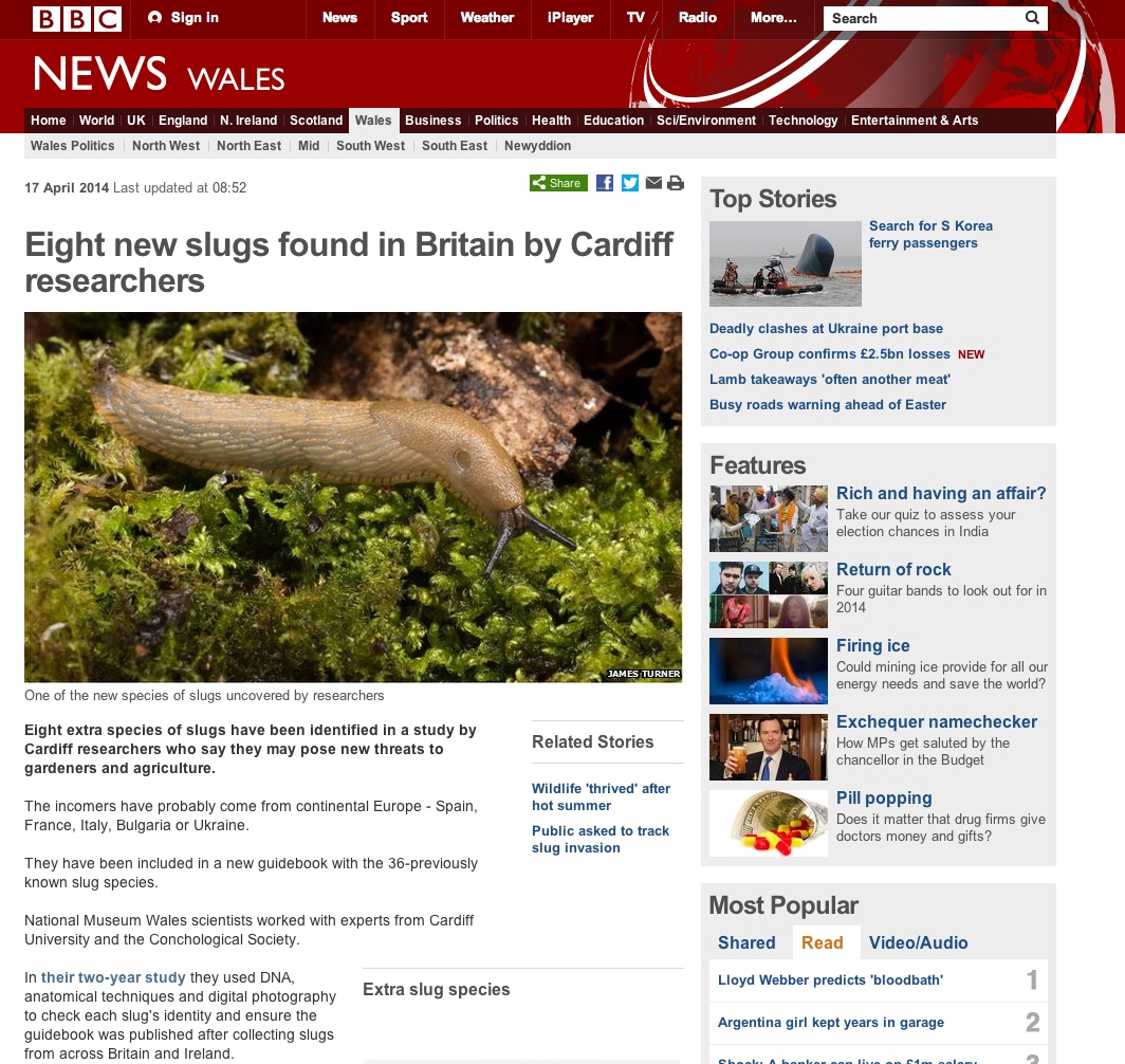 bbc article -slugs